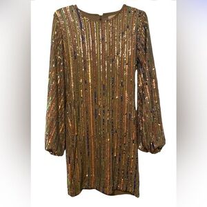Chrysantheum Sequin Dress with Long Sleeves